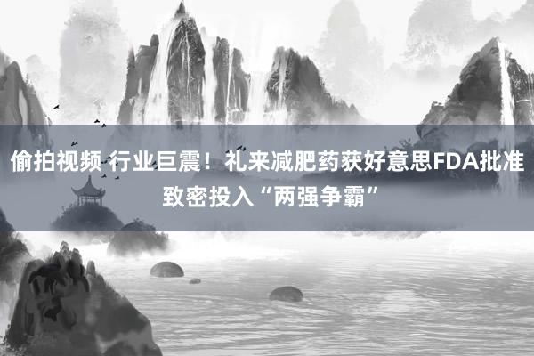 偷拍视频 行业巨震！礼来减肥药获好意思FDA批准 致密投入“两强争霸”