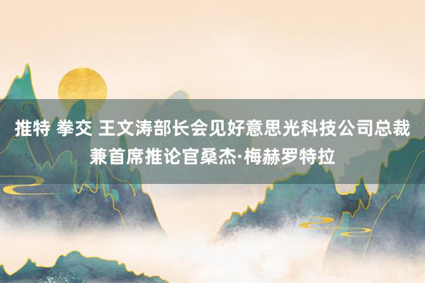 推特 拳交 王文涛部长会见好意思光科技公司总裁兼首席推论官桑杰·梅赫罗特拉