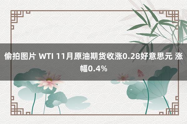 偷拍图片 WTI 11月原油期货收涨0.28好意思元 涨幅0.4%