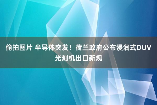 偷拍图片 半导体突发！荷兰政府公布浸润式DUV光刻机出口新规