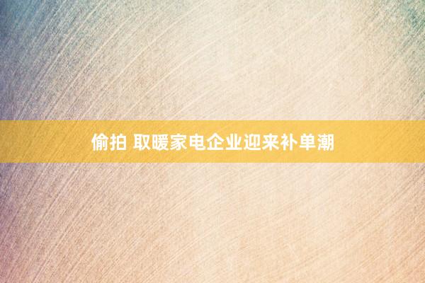 偷拍 取暖家电企业迎来补单潮